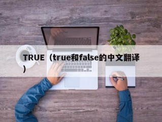 TRUE（true和false的中文翻译）